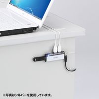 サンワサプライ USB2.0ハブ USB-HUB225GBKN 1個