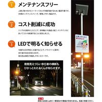保安道路企画 ぴかっとわたるくん 歩行者横断点目機 6300022008 1台（直送品）