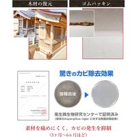 榮建設 超強力カビ取り剤 Mold ZERO 6300021960 1本