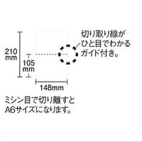 小林クリエイト 領収証用紙 A5ミシン目入り 白色 無地 1箱（500枚入）（わけあり品）