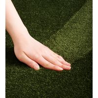 スミノエ BIGSIZERUG 防炎・消臭 ラグ スミトロンニューサキソニー 1400×2000mm アイボリー 1枚（直送品）