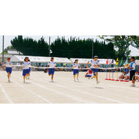 エバニュー カラーゴールインテープ EGA375 1本