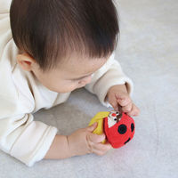 エド・インター 布のおもちゃ コロコロ コロリン 1セット