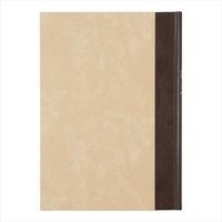 デザインフィル ミドリ 日記 10年連用 洋風 12109001 1冊