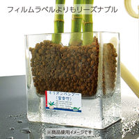 コクヨ カラーLBP&コピー用耐水紙ラベル A4 20枚入 LBP-WP6910N 1セット(40枚:20枚入×2袋)