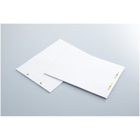 コクヨ（KOKUYO） 割鋲 真ちゅう8号 足長さ約25mm ヒン-108 1セット（2000本:100本入×20ケース）（直送品）