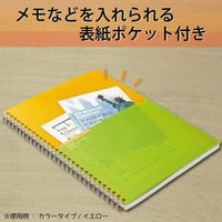 コクヨ ツインリングノート <カラータグ> セミB5 罫幅 CTス-C20B 1セット(1冊(90枚)×10)