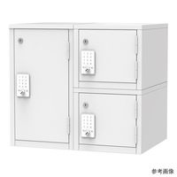 アズワン 材料キャビネット 麻薬庫 小 8-566-01 1台（直送品）