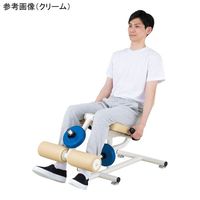 アズワン ダンベルレッグ ライムグリーン DL-LG 1台 9-1293-03（直送品）