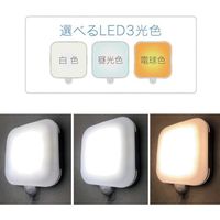 リーベックス カベピカ スクエア SLK900 1個 382-8946（直送品）