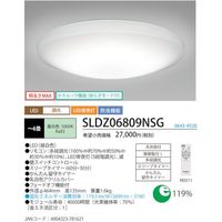 LEDシーリング調光モデル(かんたん留守タイマー付)~6畳 リモコン付 シンプルデザイン 3699lm SLDZ06809NSG 1台（直送品）