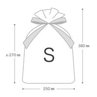 ヘッズ 不織布リボン付ギフトバッグーS/エンジ（10枚）