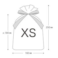 ヘッズ 不織布リボン付ギフトバッグーXS/エンジ（10枚）