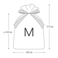 ヘッズ 不織布リボン付ギフトバッグーM/エンジ 100枚（10枚×10セット）