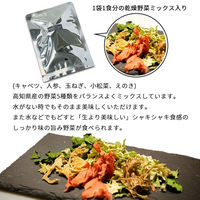 ALL SLOW FOOD 1食分の高知乾燥野菜ミックスBOX 1箱10袋入 5年保存 無添加有機野菜 防災 備蓄 ギフト（直送品）