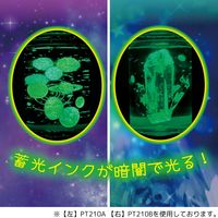 クツワ ネオンリウム・宝石 PT210B 1個