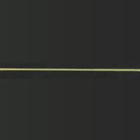 パイロット 水性マーカー ジュースペイント 細字丸芯 ゴールド SJP-20F-GD 1本