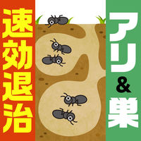 アリアースW 300mL スプレー 1セット（1本×2） アース製薬