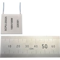 加島 マイクロセラミックヒータ SCPU20×10 100V 60W SCPU20-10 1枚 514-0546（直送品）