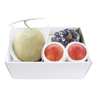 2024年お中元 アデリー 夏の旬果詰合せ AF-NNSK 1箱（直送品）