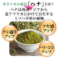 テンスター ヘナ カラートリートメント ウォームブラウン 250g 三宝