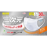 興和 三次元マスクすこし大きめLサイズホワイト30枚 4987973221921 1セット(30枚×2点)（直送品）