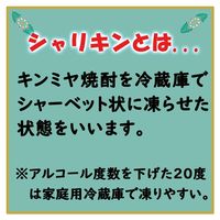 キンミヤ焼酎 シャリキン パウチ 20度 90ml 1セット（1個×5） 宮崎本店 金宮 甲類