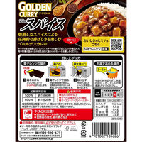 エスビー食品 ゴールデンカレー レトルト ザ・スパイス 中辛 200g 1セット（1個×3）レンジ対応