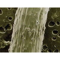 高島産業 砥粒入ナイロンベベルブラシ 空気工具用 超細目(#500) BH500-1252-1 1セット(1個)（直送品）