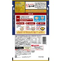 日清 から揚げ粉 塩味コク旨仕上げ からあげグランプリ最高金賞店監修 100g 1セット（1個×2）日清製粉ウェルナ