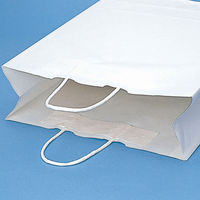 シモジマ 25チャームバッグ 30-3 晒白無地50枚入 003267110 1袋(50枚)