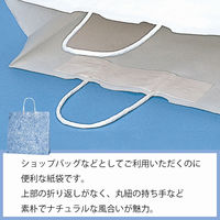 シモジマ 25チャームバッグ 3才 雲竜 青 003260201 1束(50枚)
