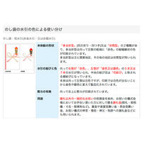 ササガワ のし袋 特万型 祝 無字 上質紙 5-1010 1冊(10枚)