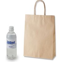 シモジマ スムースバッグ Sー100 未晒無地 003155602 1袋(25枚)