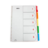 テージー カラーインデックスPP IN-2305 1パック