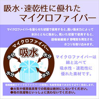 林 フェイスタオル マイクロファイバー サニーカラー グリーン(緑) FG448704 1組(2枚)