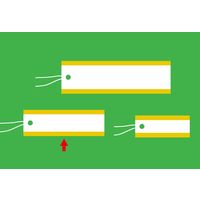 ササガワ パック入提札 長型 ゴールド 19-965 1袋(50枚入)