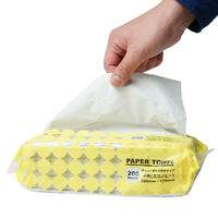 小野商事 ペーパータオル 小判 厚手 200枚入 WS6500 1個