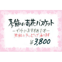 ササガワ カード 花枠 はがき判 16-1711 1冊(30枚)