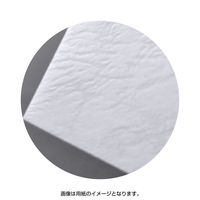 ササガワ 洋2封筒 ノーブルホワイト 16-2041 1冊(5枚)