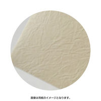 ササガワ 洋2封筒 柔波(やわなみ) 16-2047 1冊(5枚)