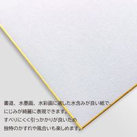 あかしや 色紙 画仙 2枚入 AO-25S-G 1冊