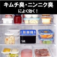 脱臭炭 冷蔵庫用 脱臭剤 置き型 キムチ・ニンニク臭にも効く 1セット（1個×5）エステー