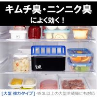 脱臭炭 冷蔵庫用 大型 強力タイプ 脱臭剤 置き型 キムチ・ニンニク臭にも効く 1セット（1個×5）エステー