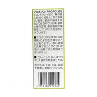 森川健康堂 プロポリススプレー 20mL 1本(20mL入)（直送品）