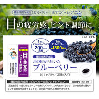 八幡物産 やわた 北の国から届いた ブルーベリー 1ヶ月分 30粒入 1袋(30粒入)（直送品）