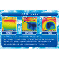 日本フイリン チャイルドシート&ベビーカー用 急冷剤スプレーE 60g 4976074437041 1本(60g入)（直送品）