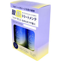 トゥルースト バイエスフリー 酸熱シャンプー&ヘアトリートメント 各480mL 4936201108022 1箱(各480mL入)（直送品）
