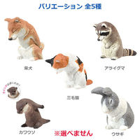 エール フィギュア おじぎさん BOX 4589469834396 1個（直送品）