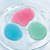 シルバーバック 魔法のぷるぷるスライム 9784861487590 1個（直送品）